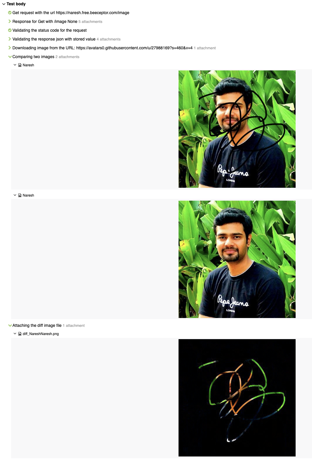 PyRest Python REST API Automation Framework With Snap Mode Includes 